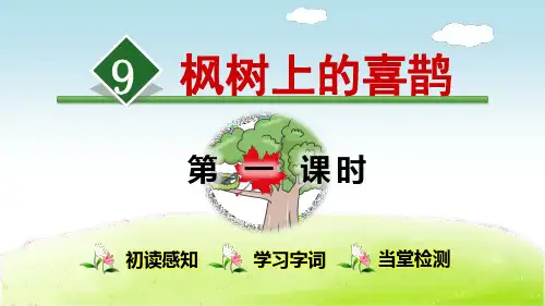 《枫树上的喜鹊》(完整版)PPT课件