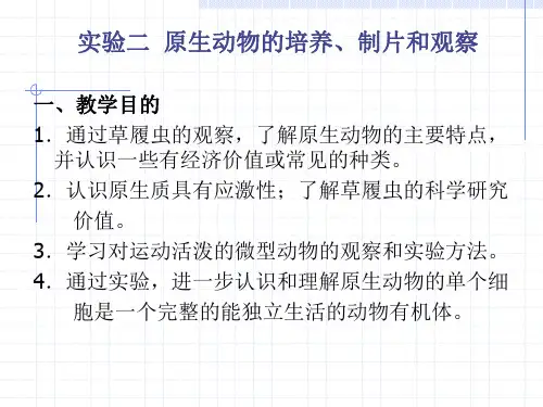 普通动物学实验—自由生活的原生动物