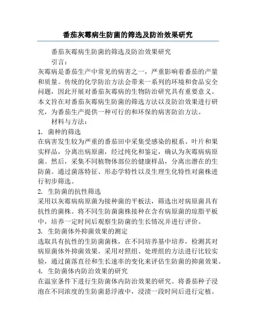番茄灰霉病生防菌的筛选及防治效果研究