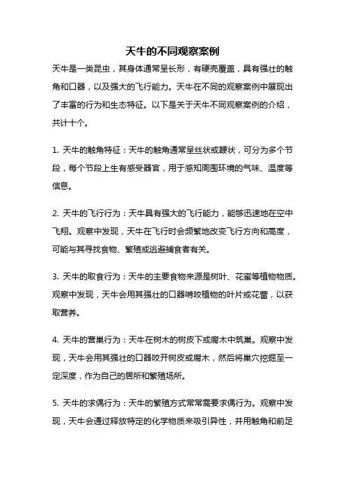 天牛的不同观察案例