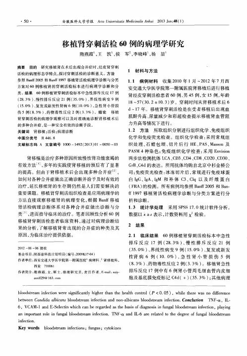 移植肾穿刺活检60例的病理学研究