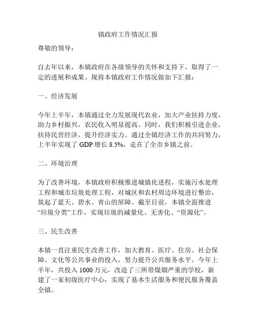 镇政府工作情况汇报