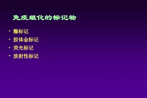 免疫组化技术理论篇