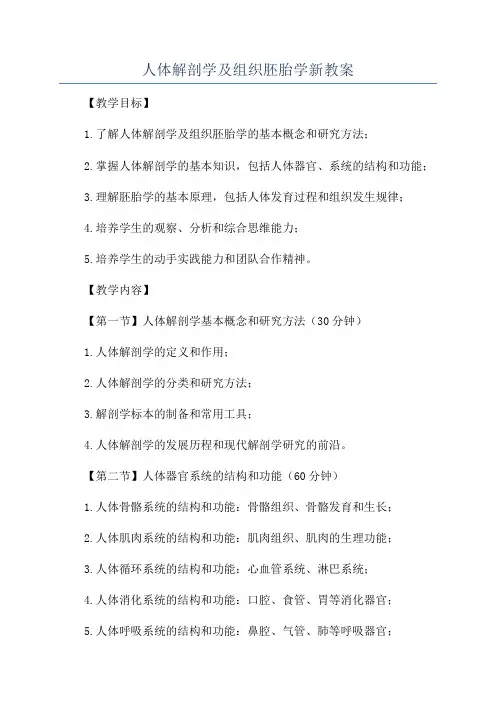 人体解剖学及组织胚胎学新教案
