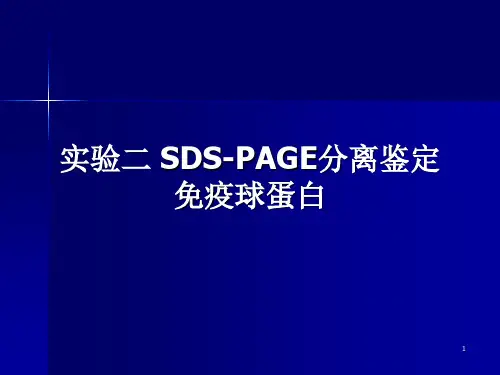 实验二 聚丙烯酰胺凝胶电泳(SDS-PAGE)鉴定免疫球蛋白