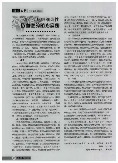 斑点叉尾鮰细菌性败血症的防治实例