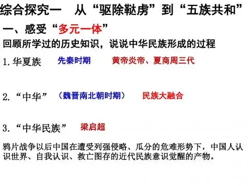 综合探究一：从“驱除鞑虏”到“五族共和”
