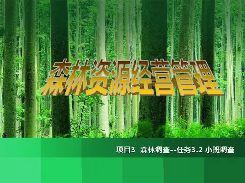 森林调查 小班调查