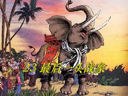 23最后一头战象PPT