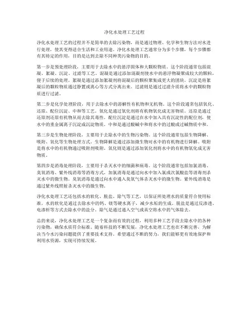 净化水处理工艺过程
