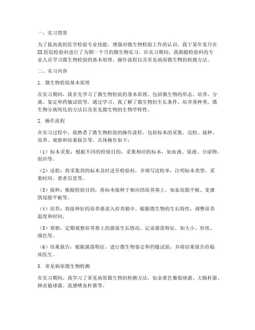 检验科微生物实习报告