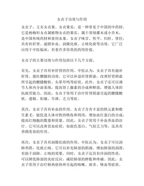 女贞子功效与作用