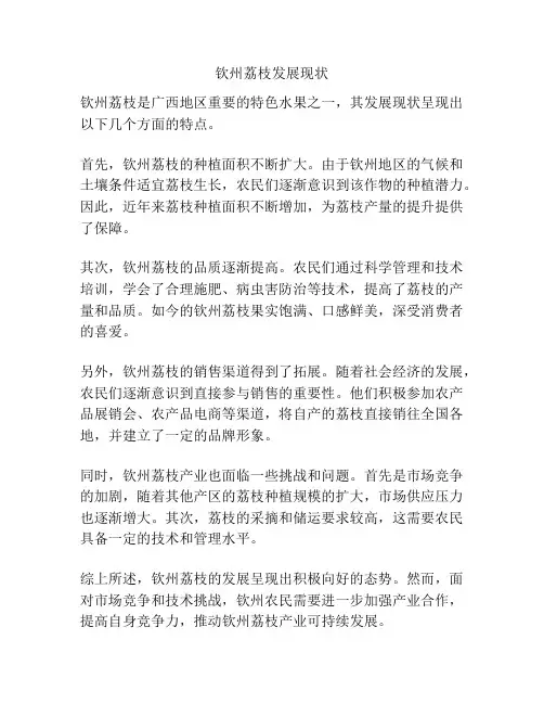 钦州荔枝发展现状