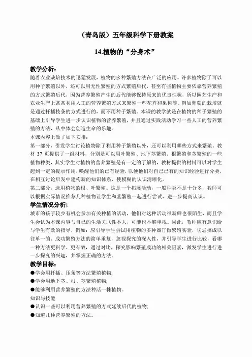 青岛小学科学五下《14.植物的“分身术”》word教案 (6)