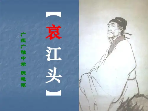 哀江头PPT8 粤教版