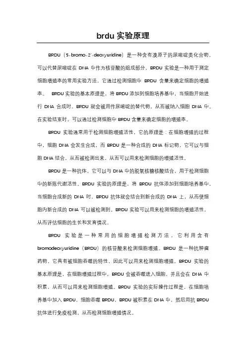brdu实验原理