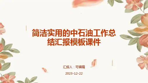 简洁实用的中石油工作总结汇报模板课件