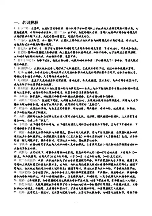 局部解剖学考试题