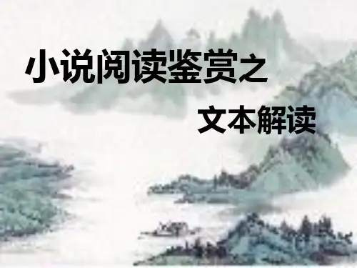小说文本解读