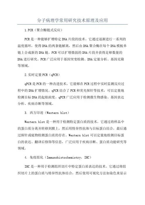 分子病理学常用研究技术原理及应用