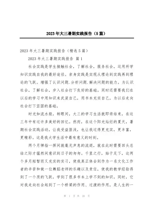 2023年大三暑期实践报告(5篇)