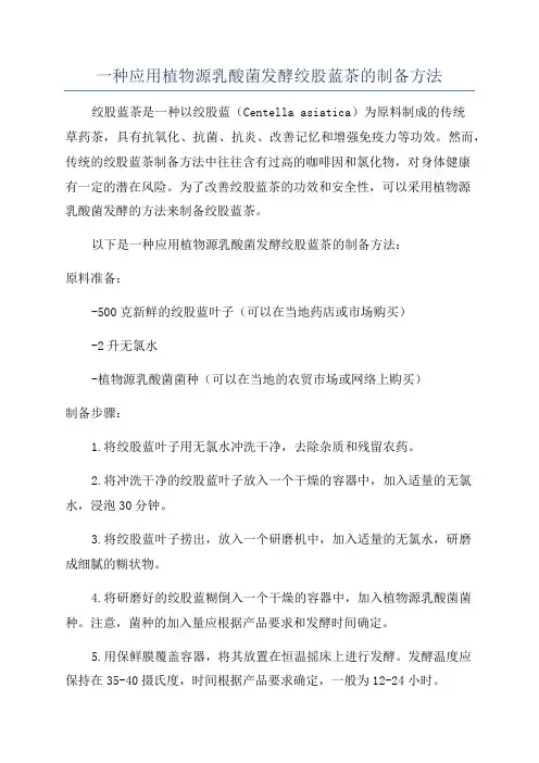 一种应用植物源乳酸菌发酵绞股蓝茶的制备方法