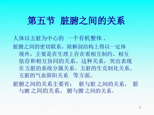 第五节脏腑关系