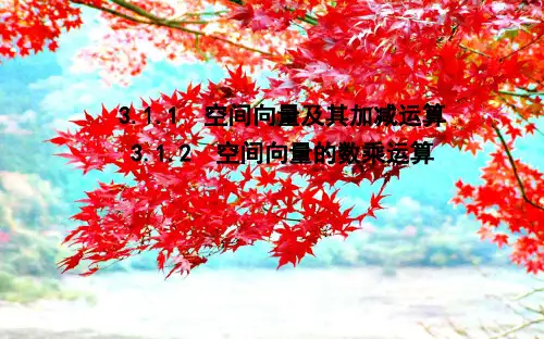高中数学第三章空间向量与立体几何3.1.1空间向量及其加减运算3.1.2空间向量的数乘运算a21