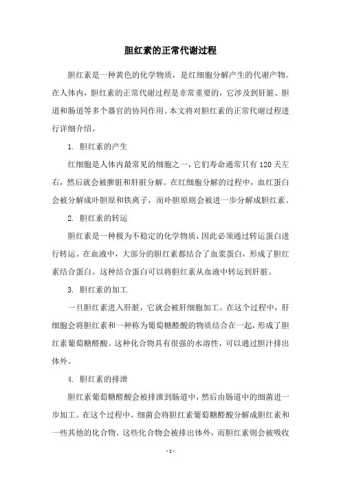 胆红素的正常代谢过程