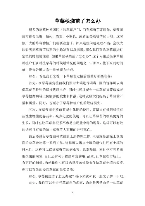 草莓秧烧苗了怎么办