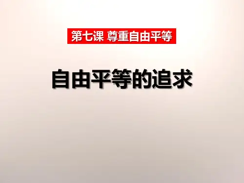 《自由平等的追求》PPT-完美版