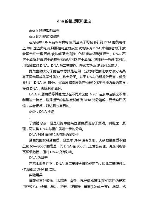 dna的粗提取和鉴定