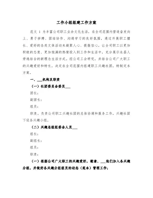 工作小组组建工作方案(二篇)
