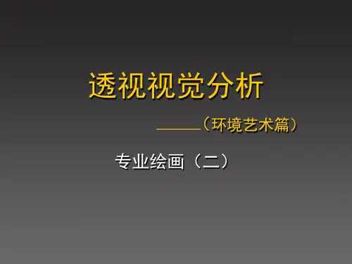 透视视觉分析PPT