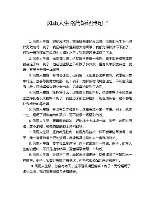 风雨人生路简短经典句子