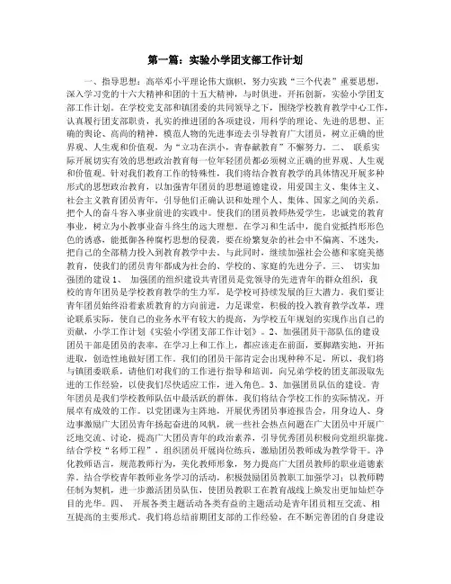 实验小学团支部工作计划(精选多篇)