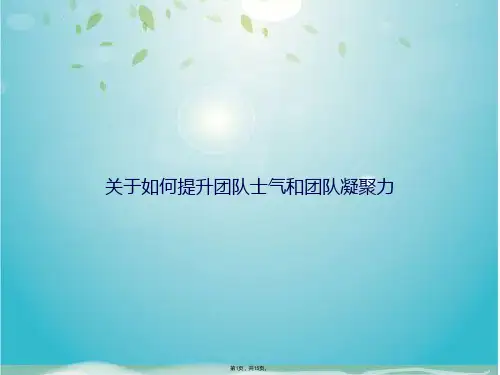 关于如何提升团队士气和团队凝聚力(共15张PPT)