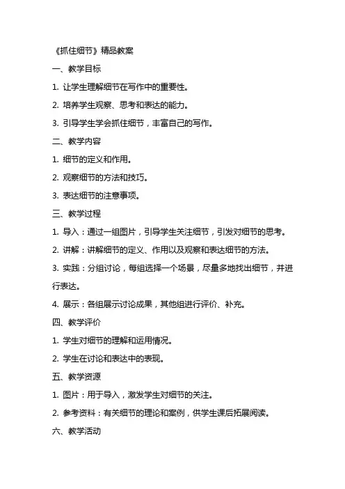 《抓住细节》精品教案