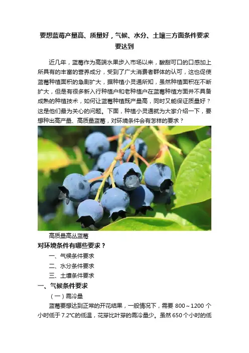 要想蓝莓产量高、质量好，气候、水分、土壤三方面条件要求要达到