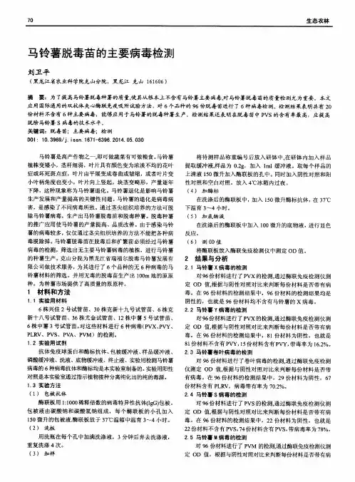 马铃薯脱毒苗的主要病毒检测