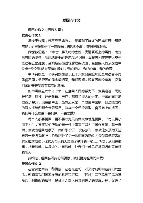 爱国心作文（精选5篇）