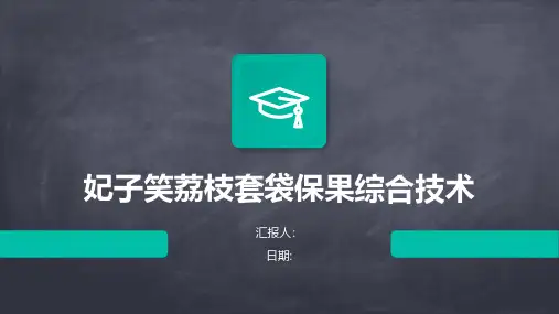 妃子笑荔枝套袋保果综合技术