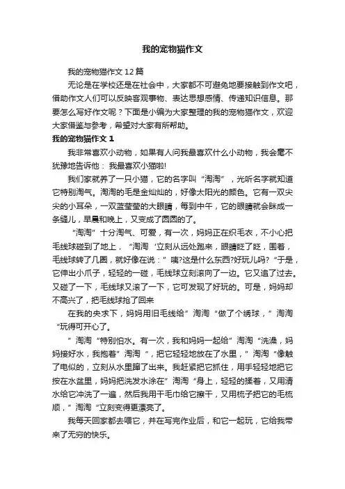 我的宠物猫作文12篇