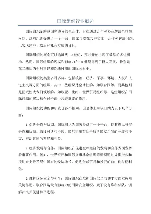 国际组织行业概述