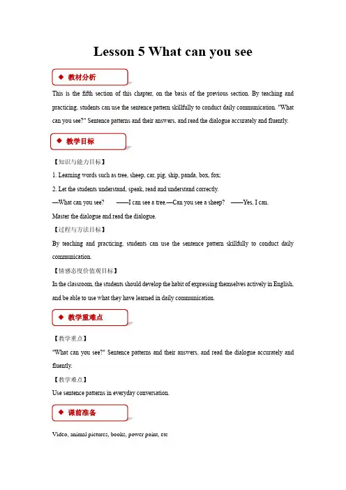 小学英语科普版四年级上册《Lesson 5 What can you see》教案
