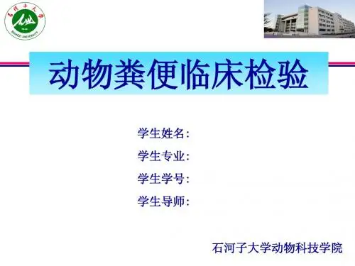 粪便检查
