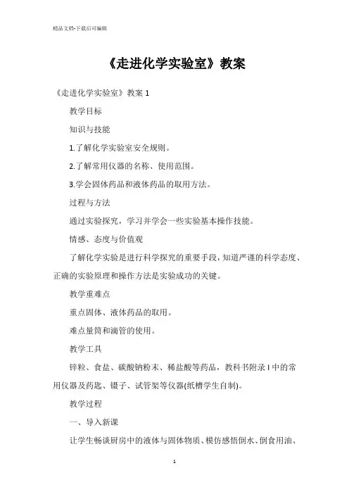 《走进化学实验室》教案
