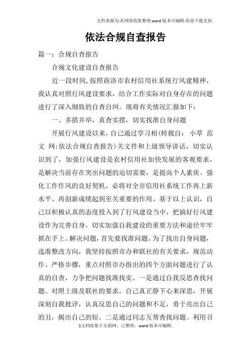 依法合规自查报告doc