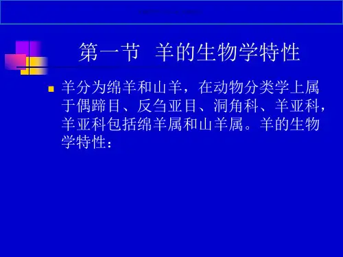 羊的饲养管理
