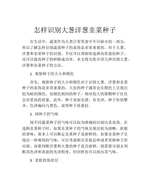 怎样识别大葱洋葱韭菜种子